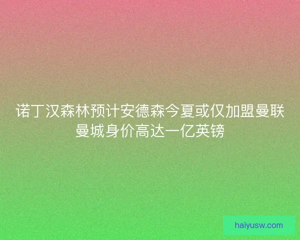 诺丁汉森林预计安德森今夏或仅加盟曼联曼城身价高达一亿英镑 诺丁汉森林预计安德森今夏或仅加盟曼联曼城身价高达一亿英镑